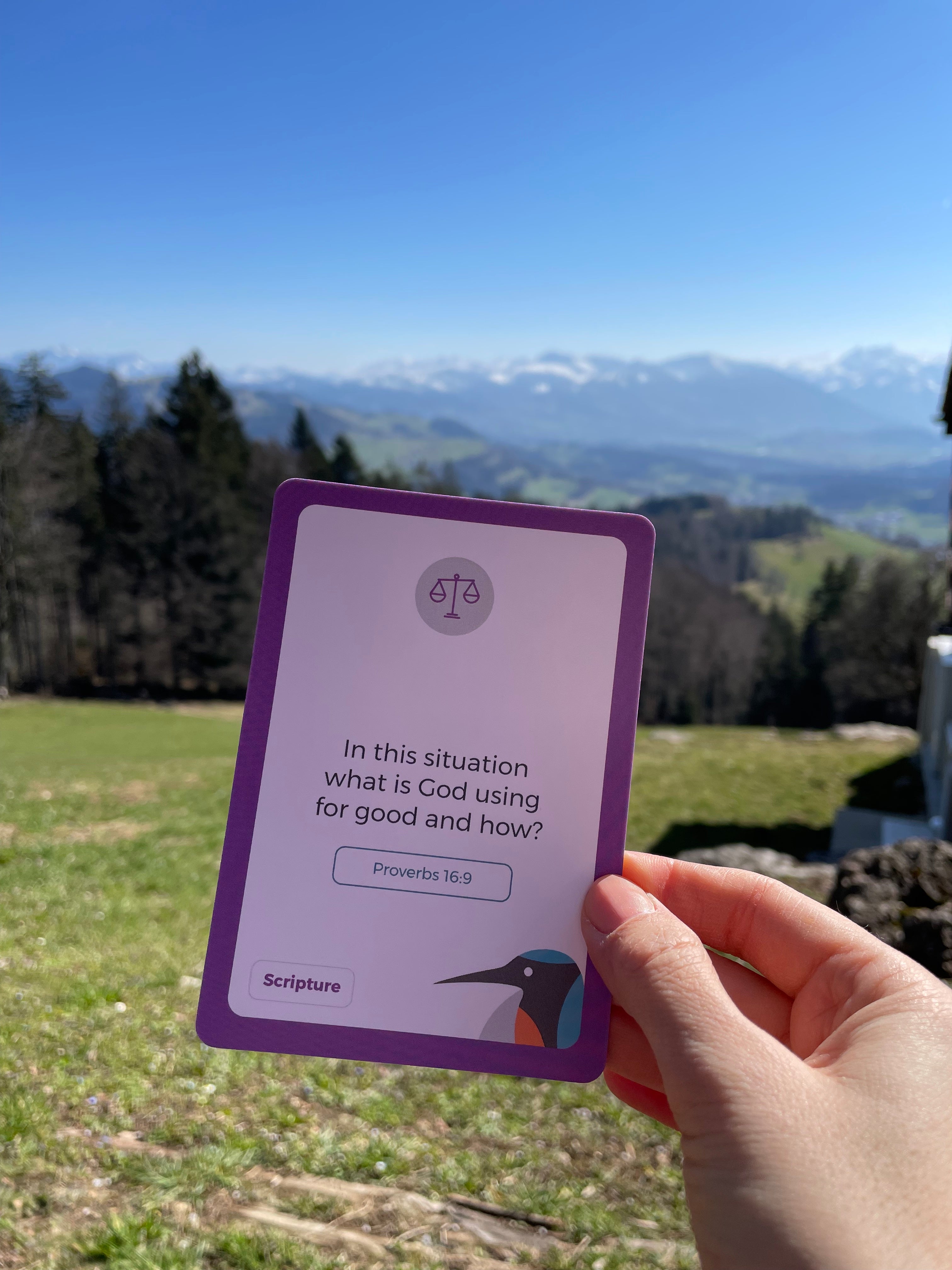 Discernment Coaching Cards